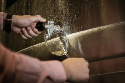 Vinene kontrolleres jevnlig under vinifikasjonen