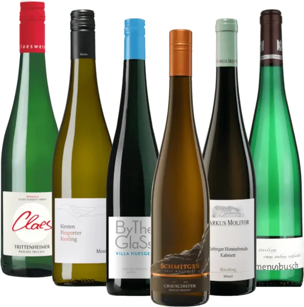 Rieslingreise langs Mosel 