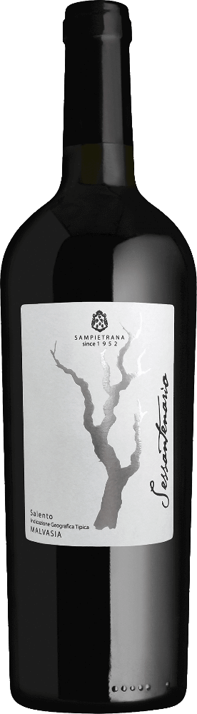 Vorschau: 12er Vorteilspaket - Sessantenario Malvasia IGT - Cantina Sampietrana