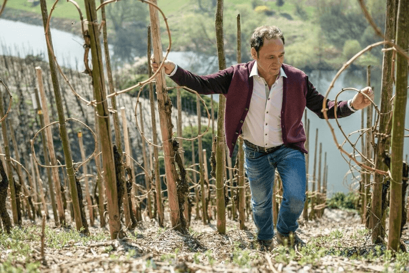 Markus Molitor i vinmarkene sine