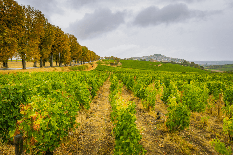 Regionen rundt Sancerre Regionen rundt Sancerre