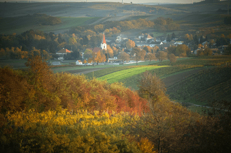 Weinrieder Weinviertel