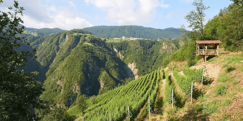 Aussichtsplattform Prackfol