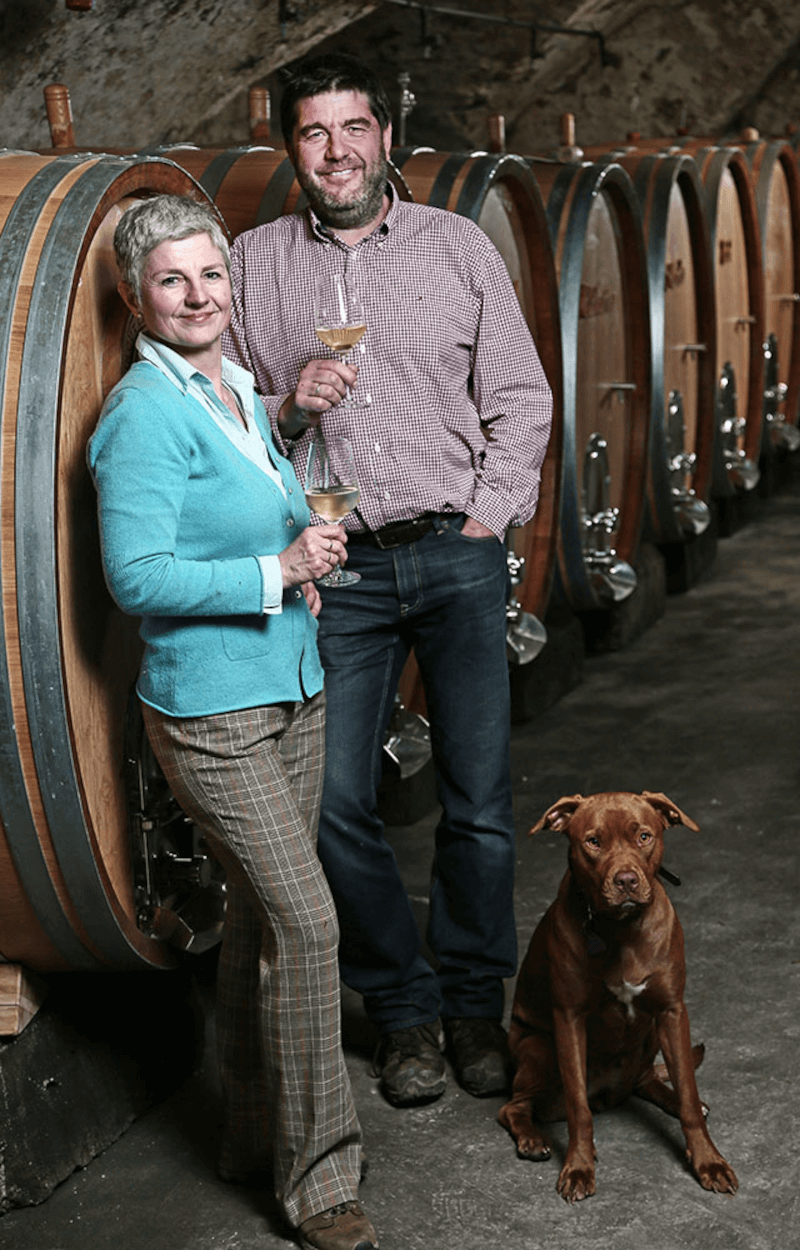 Vingård Carl Ehrhard Petra + Carl Ehrhard