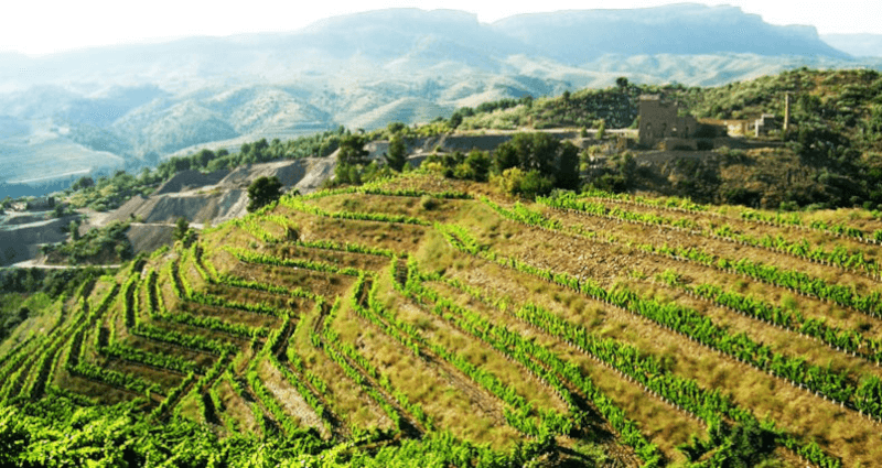 Utsikt over de terrasserte fjellene Utsikt over de terrasserte fjellene