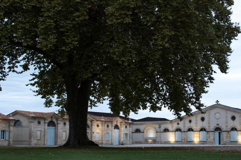 Kellerhaus Château Cantermerle