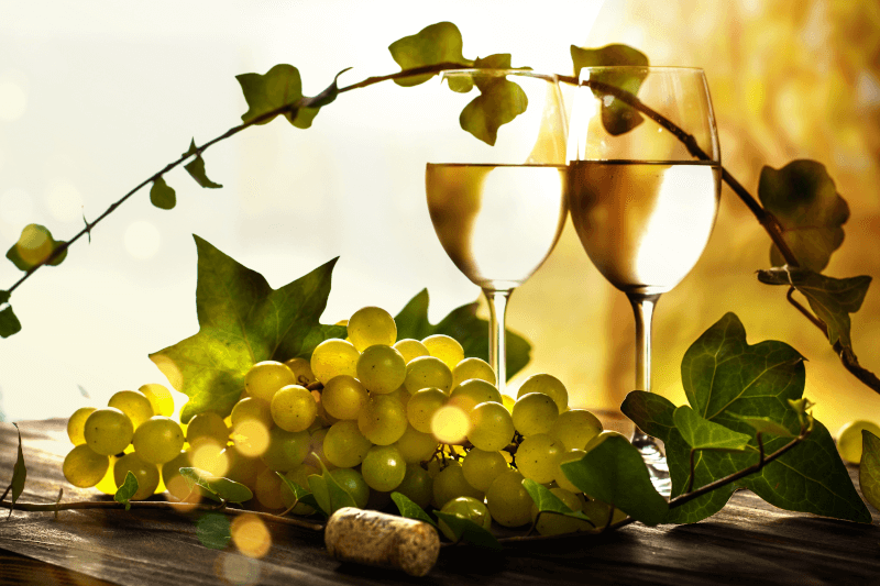 Sauvignon Blanc im Glas Sauvignon Blanc im Glas