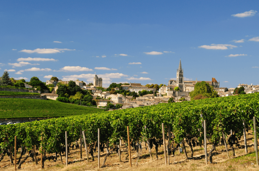 Vingårder i Saint Emilion