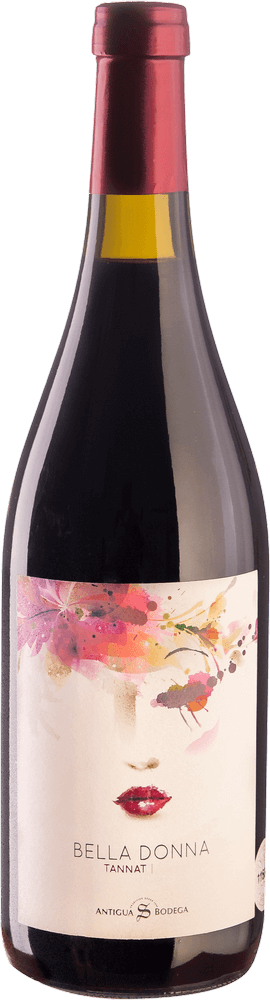 Vorschau: pakke med 6 druesorter - Best of Tannat Uruguay