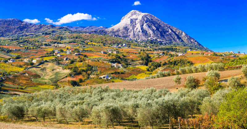 Vinmarker om høsten