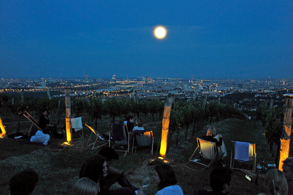 Wieninger Winery i Wien