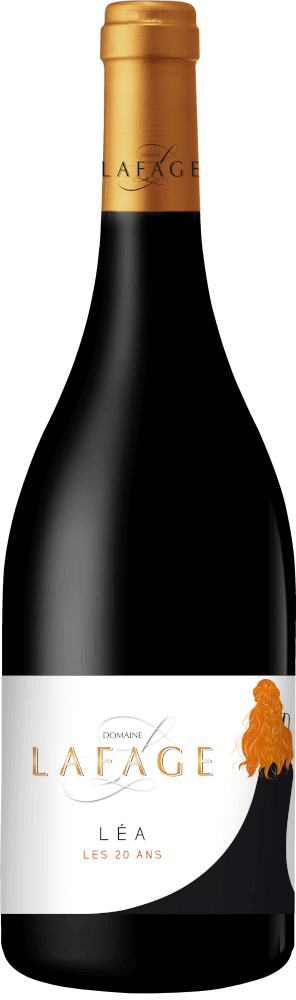 Vorschau: Tørre rødvine for den kalde årstiden - 6x smakepakke