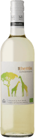 Ithemba Sauvignon Blanc - Stellar Organics