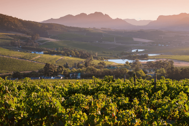 Jordan Vinmark Jordan Vinmark