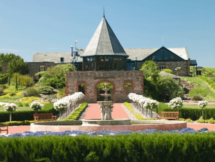 Grand Burge vingård