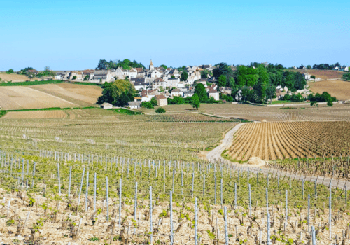 Domaine Dujardin Region