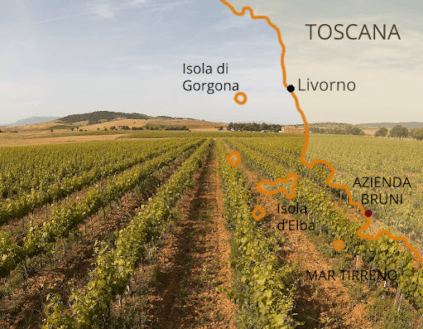 Azienda Agricola Bruni Region Azienda Agricola Bruni Region