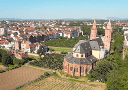 Liebfrauenstift vingård