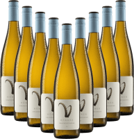 9x Vorteils-Weinpaket Steinbock Grauburgunder - Weingut Hörner