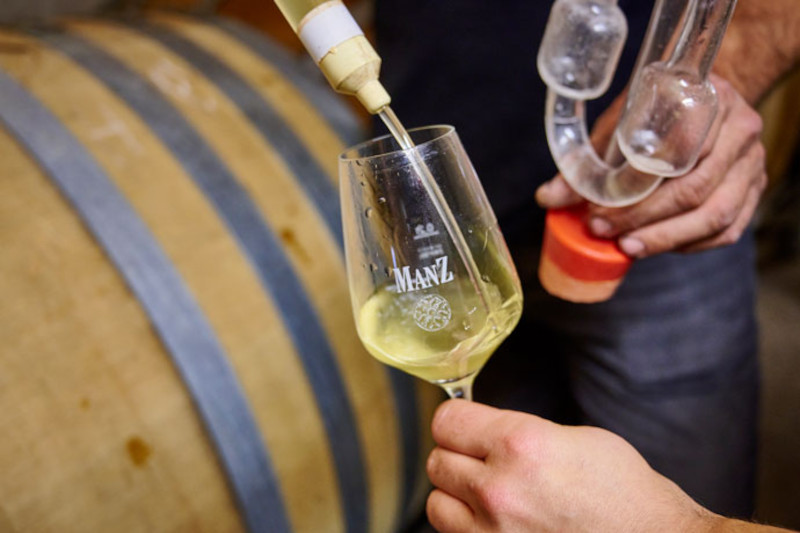 Weingut Manz Fassprobe