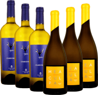 VINELLO.classics i hvitt - 6x smaksprøvepakke