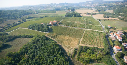 Omgitt av Cortese-vinstokker - La Toledana Omgitt av Cortese-vinstokker - La Toledana