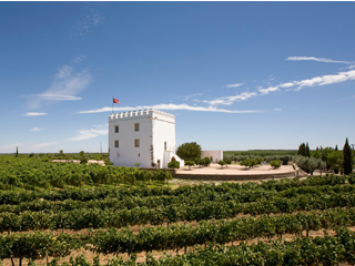 Esporao - Vindyrking