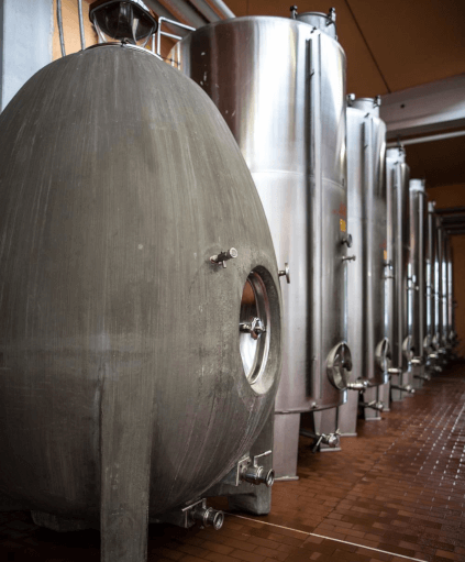 Vinkjeller hos Attems