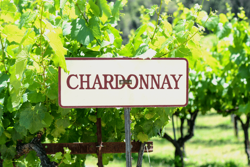 Chardonnay-radrekke