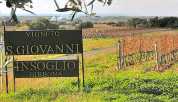 Tenuta Campo di Sasso Biserno