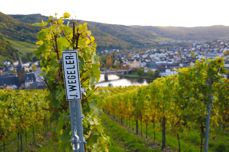 Wegeler Doctor Vineyard