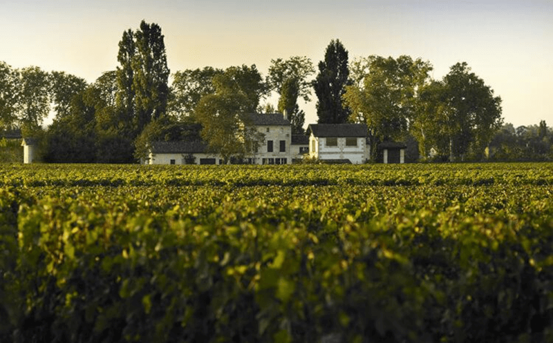 Utsikt over Château La Grave