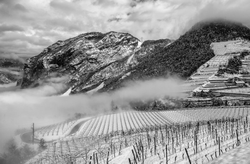 Vinmarker i Trentino Vinmarker i Trentino