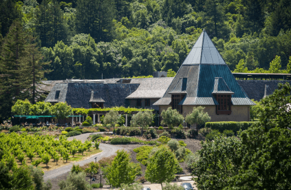 Francis Ford Coppola vingård