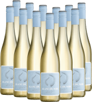 Stier Blanc de Noir - Weingut Hörner - 12x Vorteilspaket