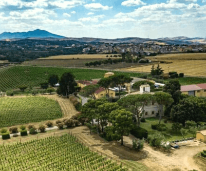 Cantina Re Manfredini