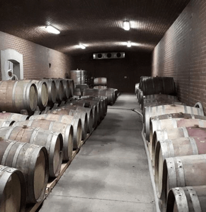 Barriques bei Mont du Toit