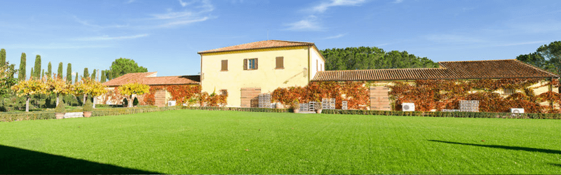 Fattoria le Pupille vingård