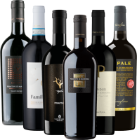 Vorschau: De beste Primitivo-mesterne fra VINELLO – 12x prøvesett