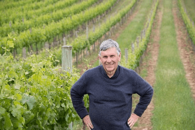 Mark Lloyd i vinmarkene sine