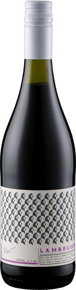 Vorschau: 6er Vorteils-Weinpaket - Lambrusco aus Italien