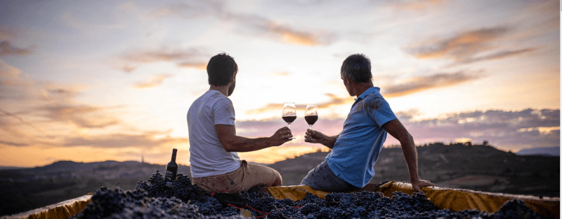 Vintae Weinberg Vintae Weinberg