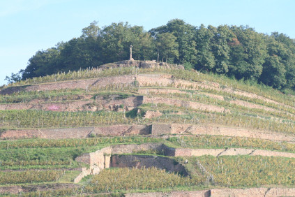 De markante steinterrassene går gjennom vinmarken til Domaines Schlumberger