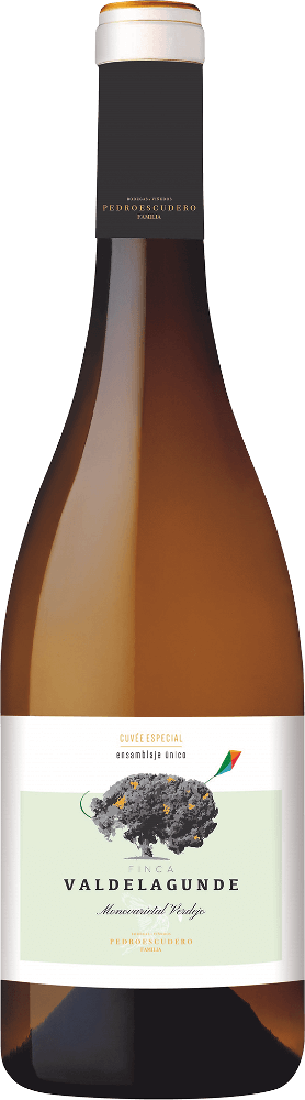 Vorschau: 12er Vorteilspaket - Valdelagunde Cuvée Especial Verdejo - Pedro Escudero