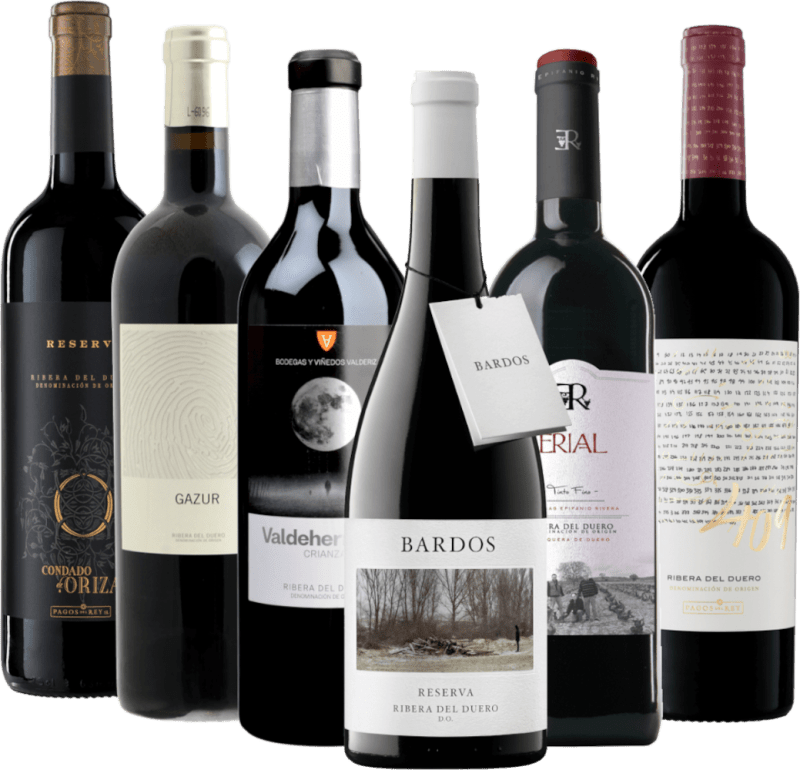 Toppviner fra Ribera del Duero – 6x prøvesett