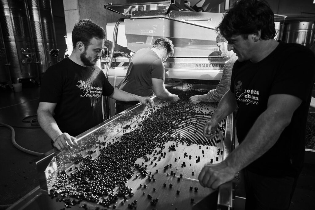 I vinpressehuset til Weingut Rings