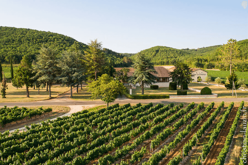 Chateau du Caillau vingård
