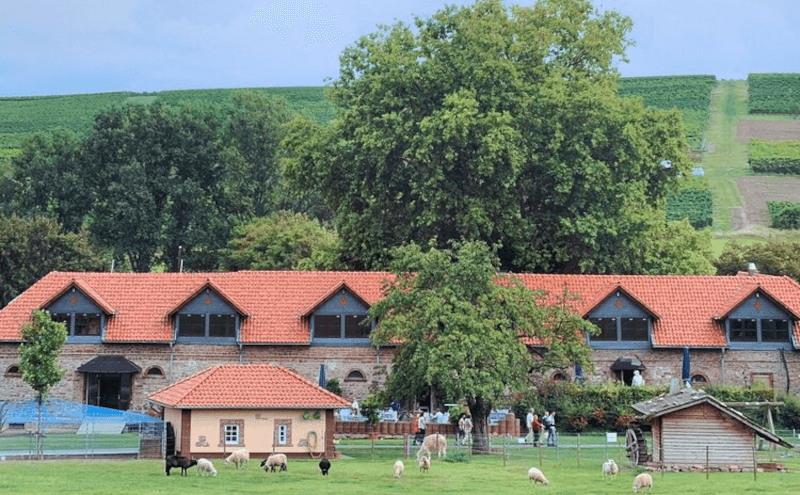 Bonnheimer Hof Bonnheimer Hof