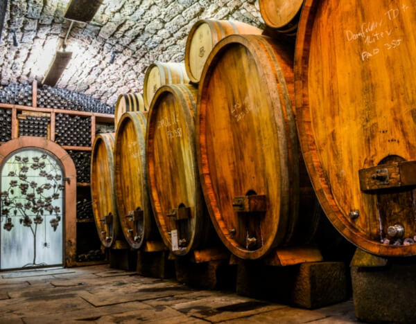 Vinkjeller hos Bergdolt-Reif & Nett