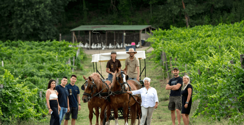 Das Team von Di Filippo